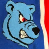 Rangers Till I Die Scarf